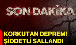 Korkutan deprem! Şiddetli sallandı