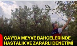 Çay’da meyve bahçelerinde hastalık ve zararlı denetimi