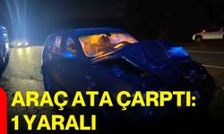 Araç ata çarptı: 1 yaralı
