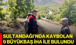 Sultandağı’nda kaybolan 9 büyükbaş İHA ile bulundu