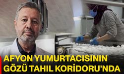 Afyon yumurtacısının gözü Tahıl Koridoru’nda