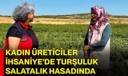 Kadın üreticiler İhsaniye’de turşuluk salatalık hasadında