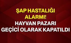 Şap hastalığı alarmı! Hayvan pazarı geçici olarak kapatıldı
