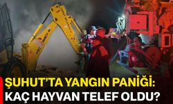 Şuhut’ta yangın paniği: Kaç hayvan telef oldu?