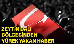 Zeytin Dalı bölgesinden yürek yakan haber