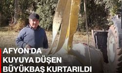 Afyon'da kuyuya düşen büyükbaş kurtarıldı
