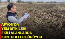 Afyon’da yem bitkileri ekili alanlarda kontroller sürüyor