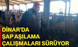 Dinar’da şap aşılama çalışmaları sürüyor