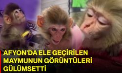 Afyon’da ele geçirilen maymunun görüntüleri gülümsetti