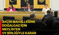 Akçin Mahallesine doğalgaz için meclisten oy birliğiyle karar