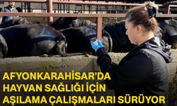 Afyonkarahisar’da hayvan sağlığı için aşılama çalışmaları sürüyor