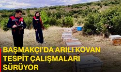Başmakçı’da arılı kovan tespit çalışmaları sürüyor