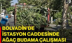 Bolvadin’de İstasyon Caddesinde ağaç budama çalışması