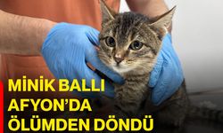Minik Ballı Afyon’da ölümden döndü