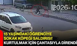 15 yaşındaki öğrenciye sokak köpeği saldırısı! Kurtulmak için çantasıyla direndi