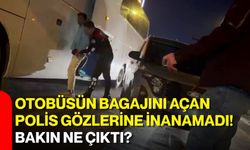 Otobüsün bagajını açan polis gözlerine inanamadı! Bakın ne çıktı?