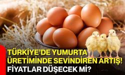 Türkiye’de yumurta üretiminde sevindiren artış! Fiyatlar düşecek mi?