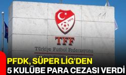 PFDK, Süper Lig'den 5 kulübe para cezası verdi