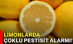 Limonlarda çoklu pestisit alarmı!