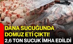 Dana sucuğunda domuz eti çıktı! 2,6 ton sucuk imha edildi