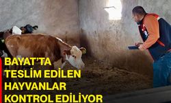 Bayat’ta teslim edilen hayvanlar kontrol ediliyor