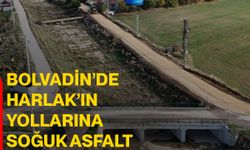 Bolvadin’de Harlak’ın yollarına soğuk asfalt