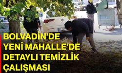 Bolvadin’de Yeni Mahalle’de detaylı temizlik çalışması