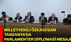 Milletvekili Özkaya’dan Tanzanya’da parlamenter diplomasi mesajı