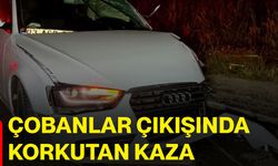 Çobanlar çıkışında korkutan kaza
