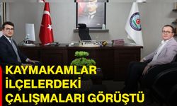 Kaymakamlar ilçelerdeki çalışmaları görüştü