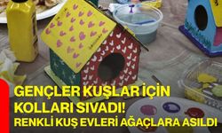 Gençler kuşlar için kolları sıvadı! renkli kuş evleri ağaçlara asıldı