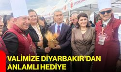 Valimize Diyarbakır’dan anlamlı hediye
