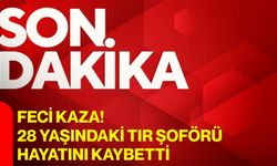 Feci kaza! 28 yaşındaki tır şoförü hayatını kaybetti