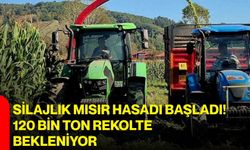 Silajlık mısır hasadı başladı! 120 bin ton rekolte bekleniyor