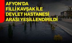 Afyon’da Filli Kavşak ile Devlet Hastanesi arası yeşillendirildi
