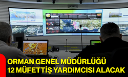 Orman Genel Müdürlüğü 12 Müfettiş Yardımcısı alacak