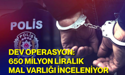 Dev operasyon: 650 milyon liralık mal varlığı inceleniyor