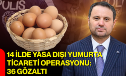 14 ilde yasa dışı yumurta ticareti operasyonu: 36 gözaltı