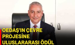 OEDAŞ’ın çevre projesine uluslararası ödül