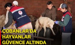 Çobanlar’da hayvanlar güvence altında