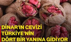 Dinar’ın cevizi Türkiye’nin dört bir yanına gidiyor