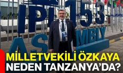 Milletvekili Ali Özkaya neden Tanzanya’da?