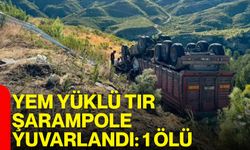 Yem yüklü tır şarampole yuvarlandı: 1 ölü