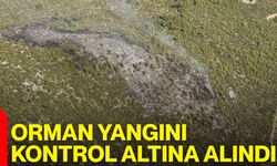 Orman yangını kontrol altına alındı