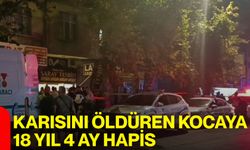 Karısını öldüren kocaya 18 yıl 4 ay hapis