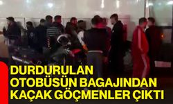 Durdurulan otobüsün bagajından kaçak göçmenler çıktı