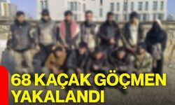 68 kaçak göçmen yakalandı