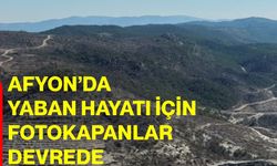 Afyon’da yaban hayatı için fotokapanlar devrede