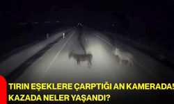 Tırın eşeklere çarptığı an kamerada! Kazada neler yaşandı?