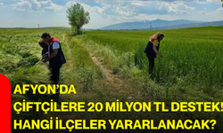 Afyon’da çiftçilere 20 milyon TL destek! Hangi ilçeler yararlanacak?